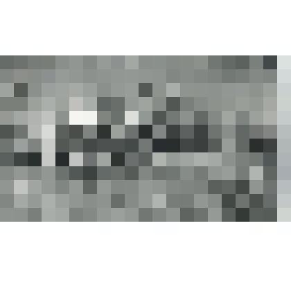 Фотография ч/б. Интерьер универмага №16 "Зеленоград" на площади Юности