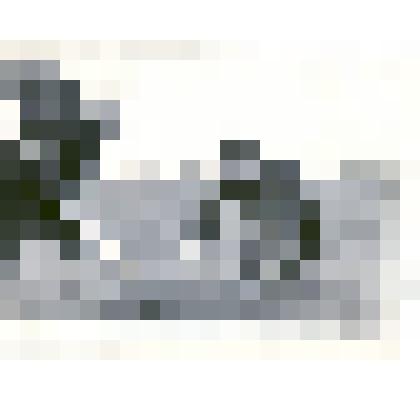 Фотография: посадка саженцев в честь 25-летия победы в ВОВ за городом. В посадке принимают участие подполковник, участник ВОВ Лысенко Иван Моисеевич и его жена