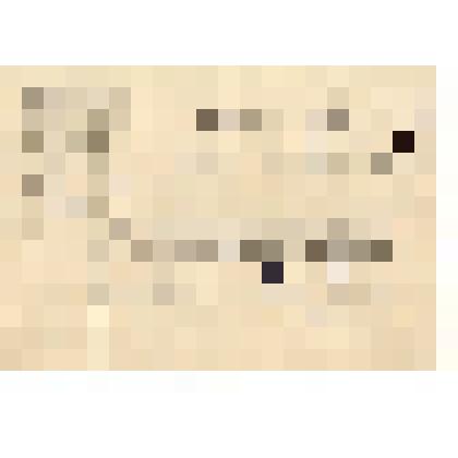 Удостоверение т.Ермакова во том, что он является уполномоченным в комиссии Свердловского военкомата от 31 мая 1943г. Из личных документов революционера Ермакова П.З