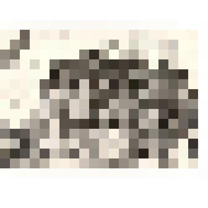 Фотография. Бывший дом Б-Мурашкинского купца-промышленника Панышева И.С