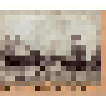 Фото групповое: открытие участка Москва-Волоколамск Московско-Виндавской железной дороги, 1901 г