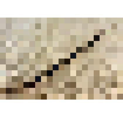 Тросик для спусковой кнопки фотоаппарата Максимова Е.К. из коллекции материалов Максимова Евгения Константиновича, саратовского ученого, историка, краеведа, доцента СГУ, Заслуженного работника культуры РФ