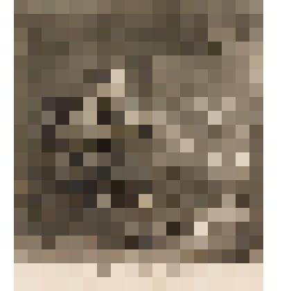 Автопортрет перед мольбертом. 1764, из альбома «The Works of William Hogarth»