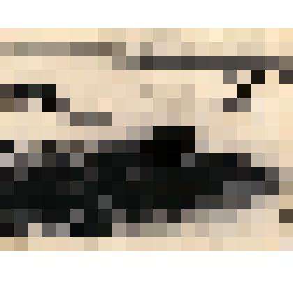 Фото черно белое п.Пит-Городок. (вид сверху на берег р.Пит.)