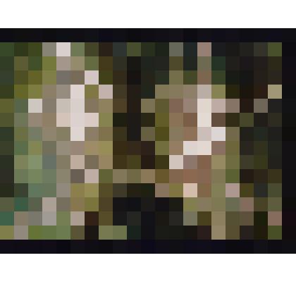 "Роден". Из цикла "Театр балета Леонида Якобсона". Фотография