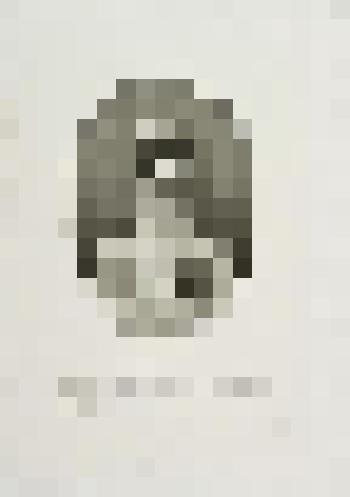 Портрет цесаревны Марии Фёдоровны