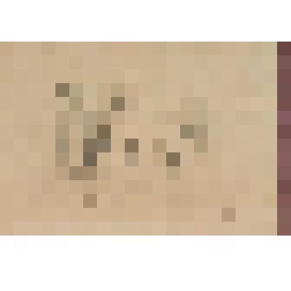 Деревья на берегу