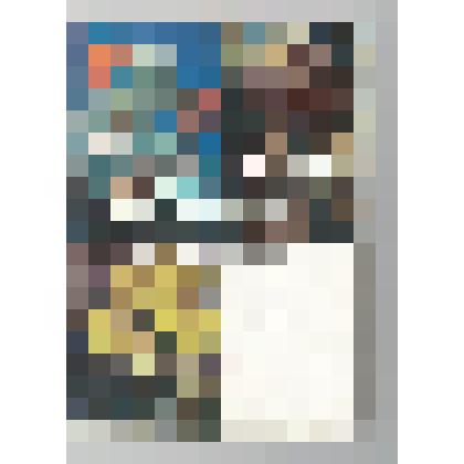 Книги. Книга  "Чародейные растения и грибы". - Абакан: Изд-во Хакасского государственного университета, 1997