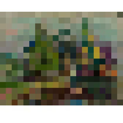 Пейзаж с елями и сосной