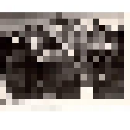 Фотография черно-белая