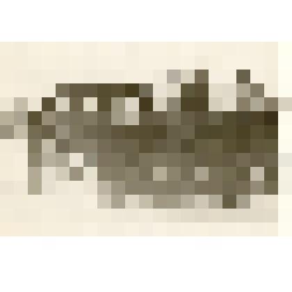 Фотография: новый трактор колхоза "Рассвет" Каменского района Алтайского края - подарок передовому трактористу Неволину Владимиру, победителю социалистического соревнования в честь 50-летия ВЛКСМ