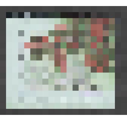 Марка почтовая. РФ. ИТЦ "Марка"-2210. Хурма обыкновенная. К 125-летию Сочинского парка «Дендрарий». Флора России. 29 руб. 29. 03. 2017