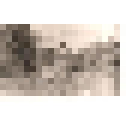 Фотография. Здание Самойловской бани