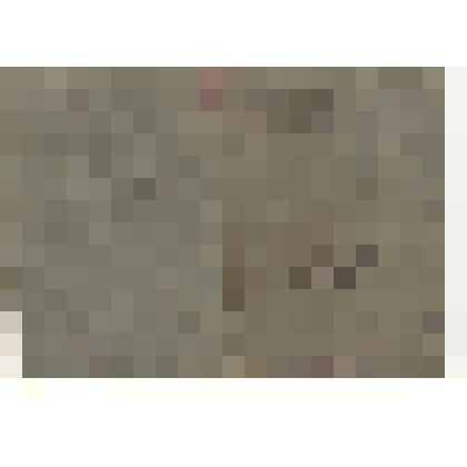 Книжка членская №1419 Буровой Марии Ивановны