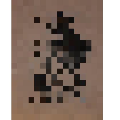 Книга А. Ринка