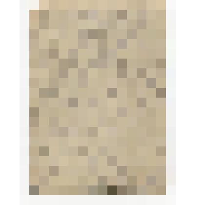 Фотография. Ласткина Нина Васильевна, участница боев на киришской земле в составе 198 стрелковой дивизии