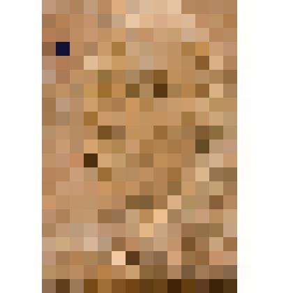 Портрет-барельеф художника и писателя К. П. Петрова-Водкина