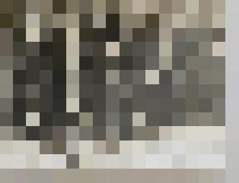 Фотография. Митинг и демонстрация, посвященные Дню Победы 9 мая 1980 г. в г. Жигулевске