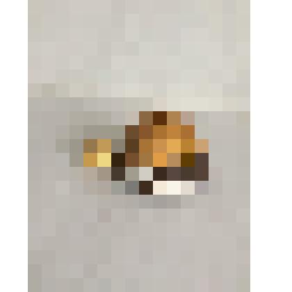 Солонка "Черепаха"