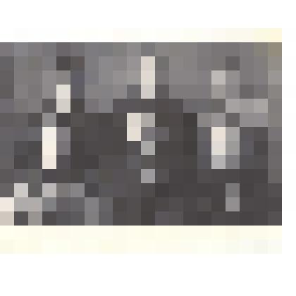 Фотография: бригада коммунистического труда Каменской АТК