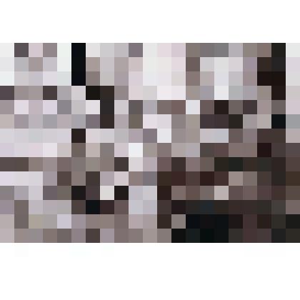 Фотография. Фрагмент фасада дома  Жигаева В.В. № 31 на Большой улице. Село Коломенское