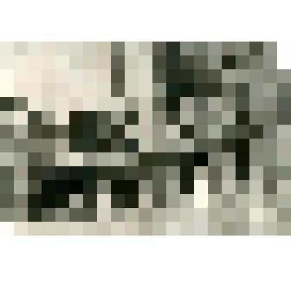 Групповой снимок. Заседание Восточно-Кангаласской  улусной управы