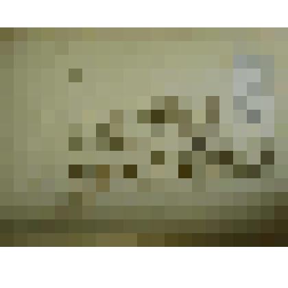 Гербарий. Звездчатка топяная. Из гербария "Флора Ингрика"