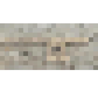 Лук - шерстобитка