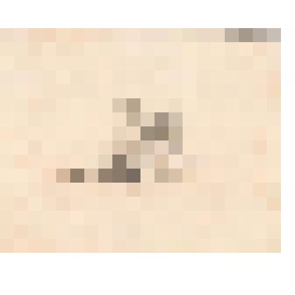 Закованный дух