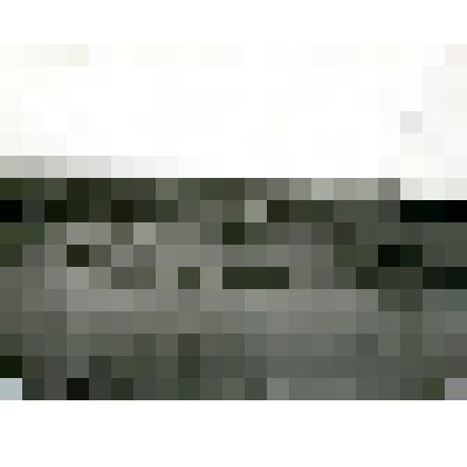 Фотография. Селение Аянки на берегу Алдана