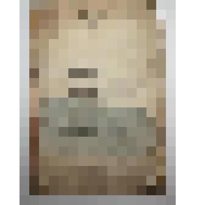 Книга. Спутник лесозаготовитель. Типография Издательства "Красное Знамя"