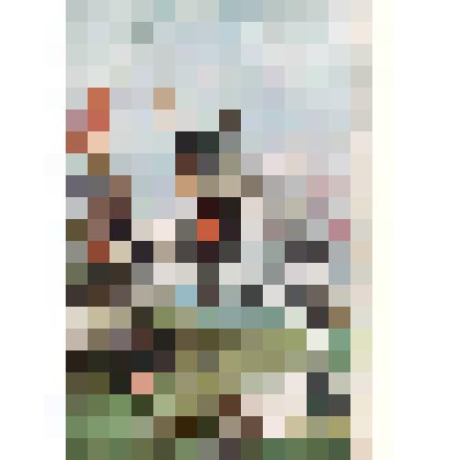 Репродукция с картин