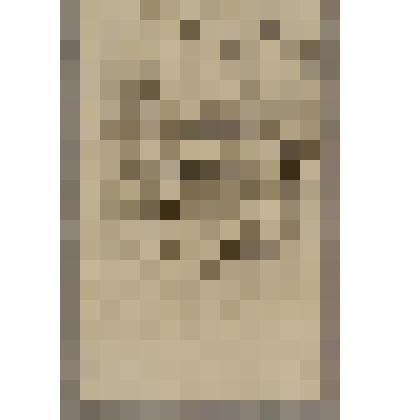 Дача, из альбома  «190 пейзажей; зарисовки, иллюстрации, карикатуры»