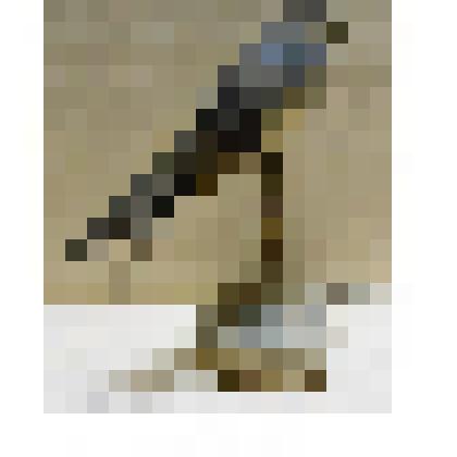 Чучело. Ласточка деревенская