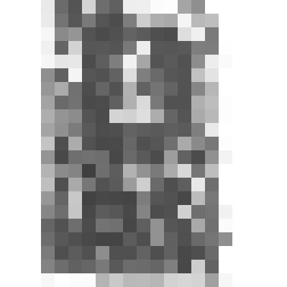 Портрет Анны, королевы Англии, Шотландии, Ирландии, супруги короля Джеймса [Якоба] I, урожденной принцессы Датской