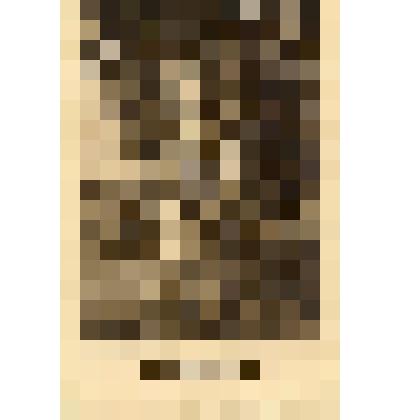 Письмо фронтовое на открытке с изображением березок. От военнослужащего Миши (фамилия неизвестна) своей девушке [Галие]