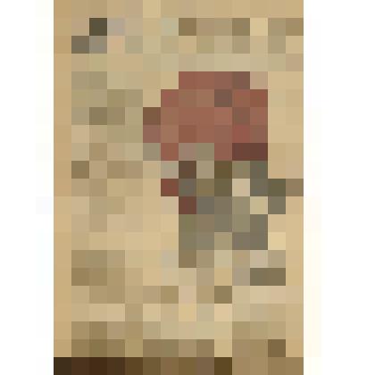 Газета. "Северная вахта" № 58