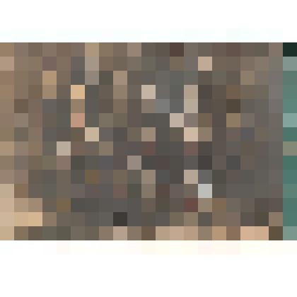 Ф/чб. Ячейка ВЛКСМ при Немсельскосоюзе г. Покровск (групповой портрет с фамилиями на обороте). АССР НП. 1927 г