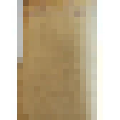 Протокол  опроса Озирного В.Н. по поводу гибели семьи Бирюковых