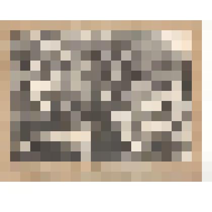 Фотография. Рабочие Н.Уфалейского завода (Могиленских)