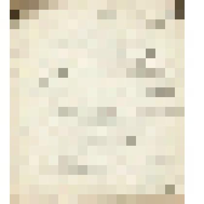 Телеграмма № 2056 в г. Чердынь В.Н.Алину от Алина из г. Перми, 14.12.1905 г