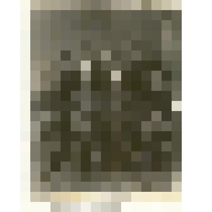 Фотография: правление укрупненного колхоза имени Чапаева Каменского района Алтайского края