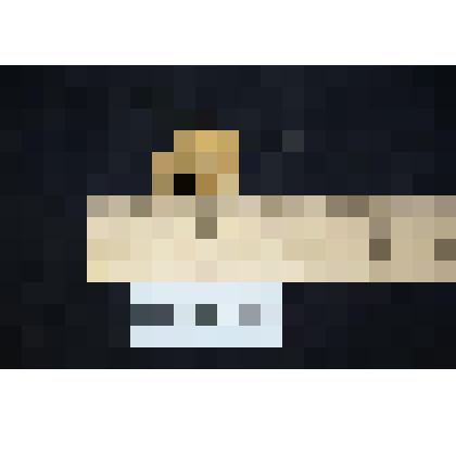 Раковина  аммонита