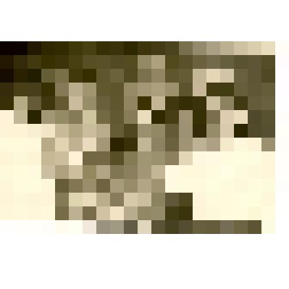 Фото. Старовердовой Марии - первого секретаря Дагестанского обкома комсомола Магомедов Д., Байгушев А., Саидов З., Гаджиев А