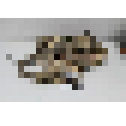 Седелка - Сэдиэккэ