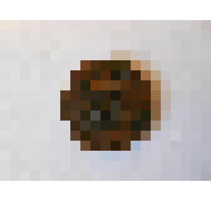 Монета. 1 (одна) копейка