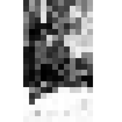 Сказание о Белоянисе. Шмуцтитул к части