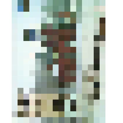 Открытка "Злынский конезавод"