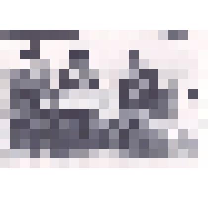 Фотография: генерал-майор Подшивайлов Денис Протасович среди офицеров