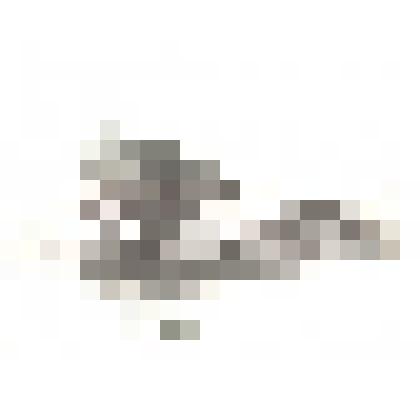 Фотография: мельница купца Второва на озере Тараканке в с.Камень Барнаульского уезда Томской губернии. Копия